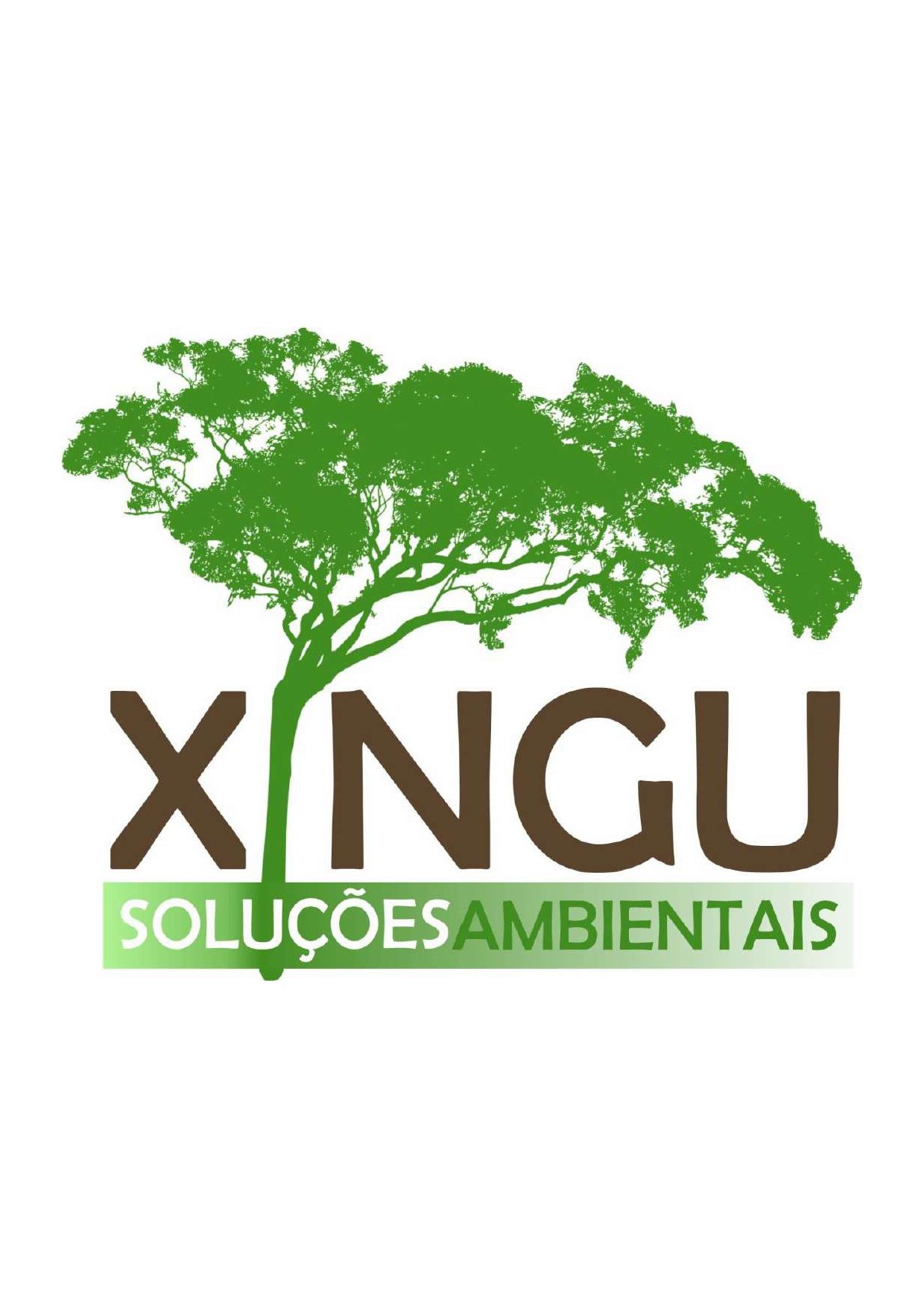 Xingu Soluções Ambientais