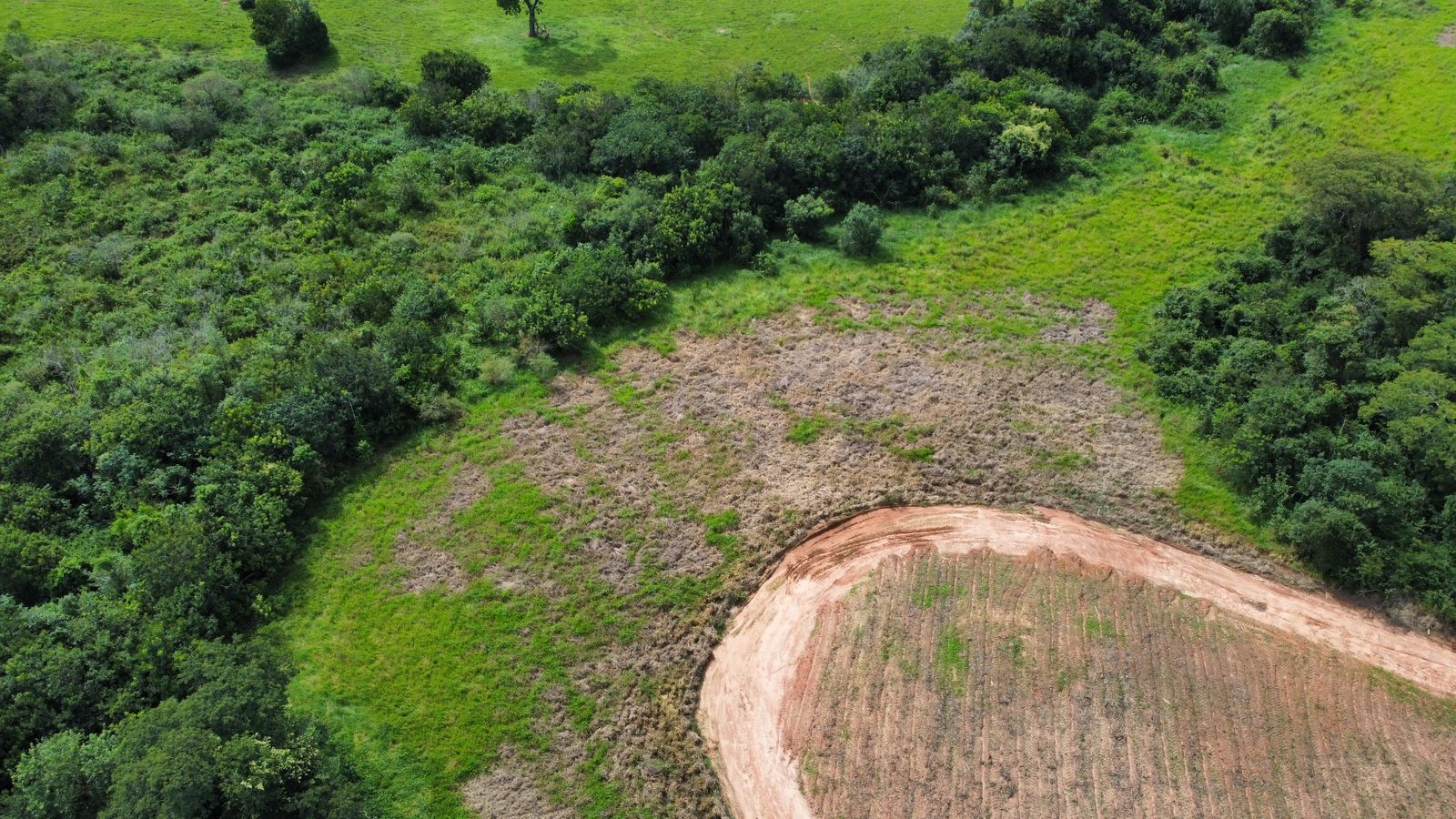 Equipe técnica realiza diagnóstico e planejamento de restauração em fazendas de Fernandópolis